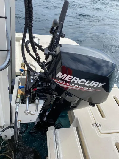 Ziggy Yacht Photos Pics 