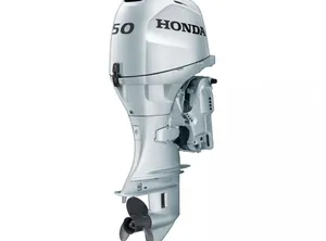 2024 Honda BF 50 Cv LRTZ