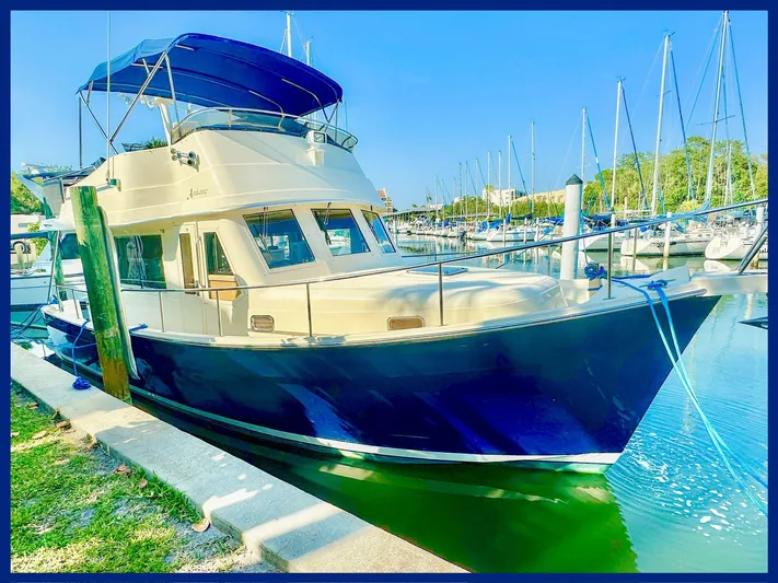 Andiamo Yacht Photos Pics 