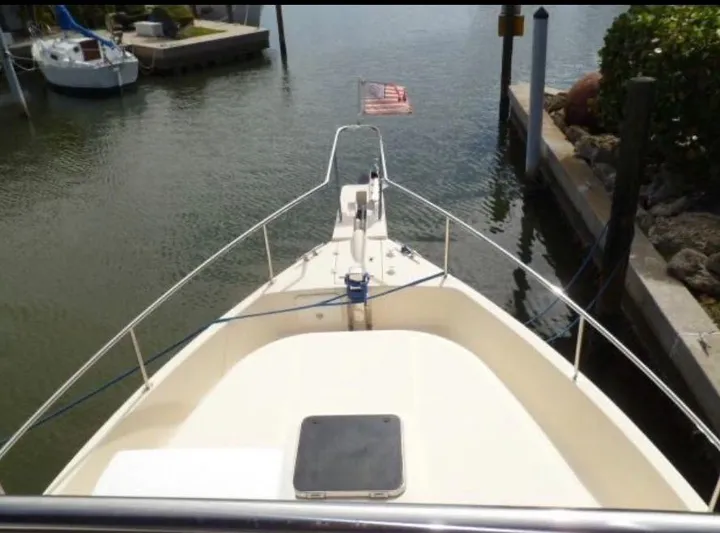 Andiamo Yacht Photos Pics 