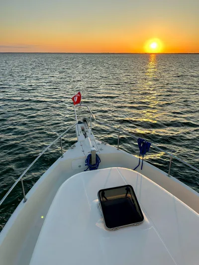 Andiamo Yacht Photos Pics 