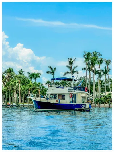 Andiamo Yacht Photos Pics 