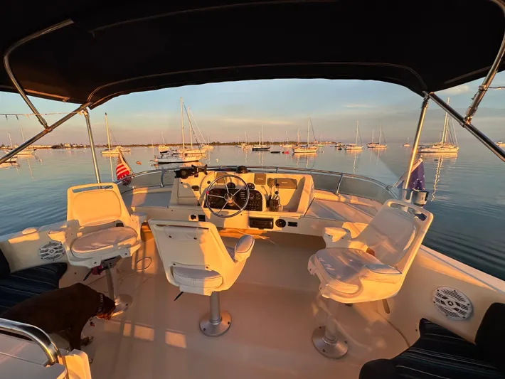 Andiamo Yacht Photos Pics 