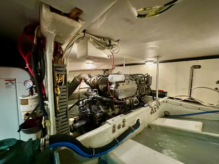 Andiamo Yacht Photos Pics 