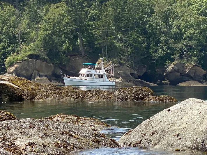 Carina Yacht Photos Pics 1990 Grand Banks 36 Europa yacht anchored near rocky shoreline with lush forest backdrop.