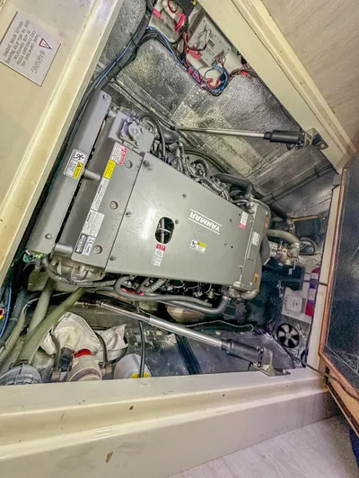 Blue Palmetto Yacht Photos Pics 