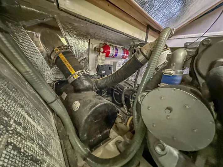 Blue Palmetto Yacht Photos Pics 