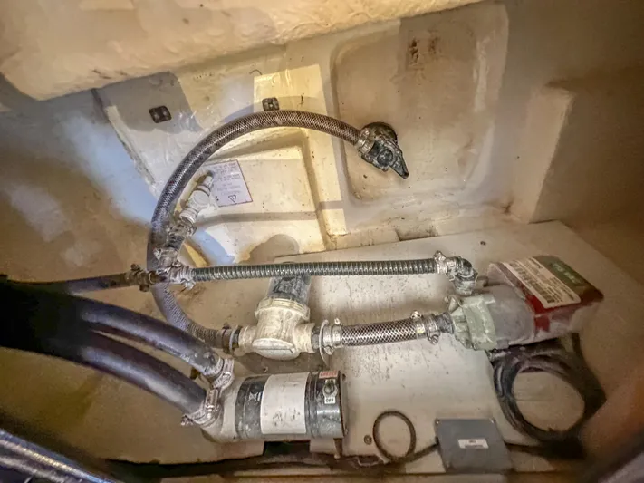 Blue Palmetto Yacht Photos Pics 