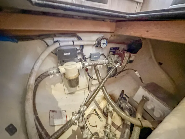 Blue Palmetto Yacht Photos Pics 