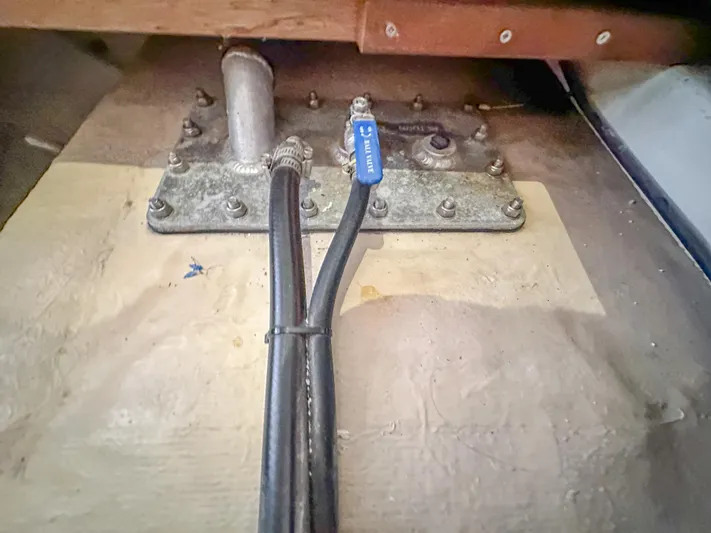 Blue Palmetto Yacht Photos Pics 