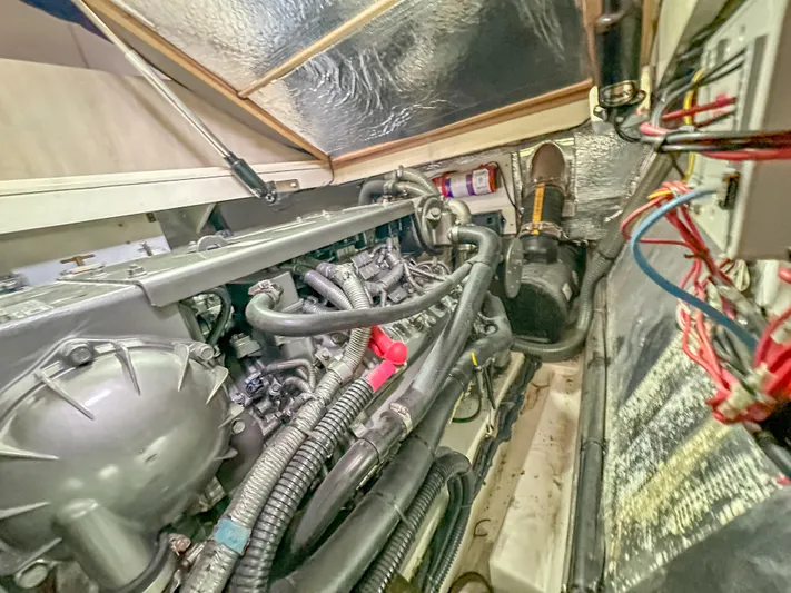 Blue Palmetto Yacht Photos Pics 