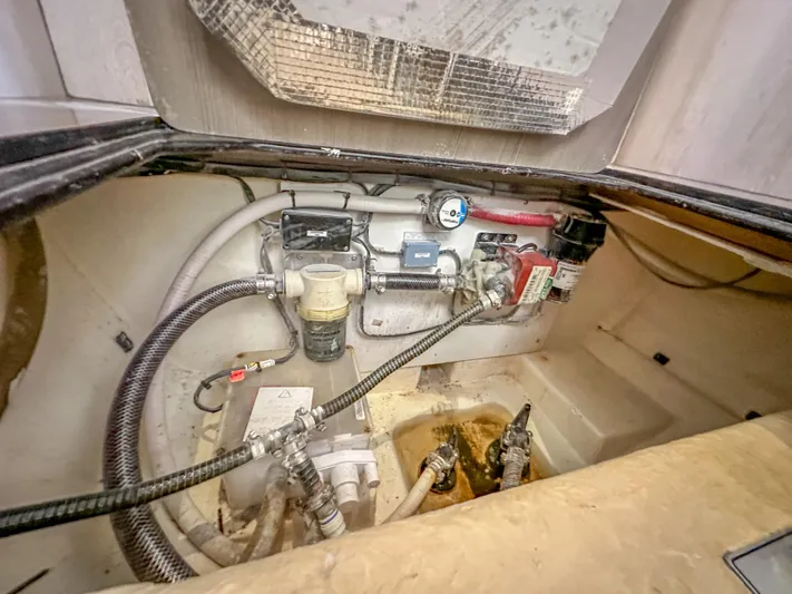 Blue Palmetto Yacht Photos Pics 