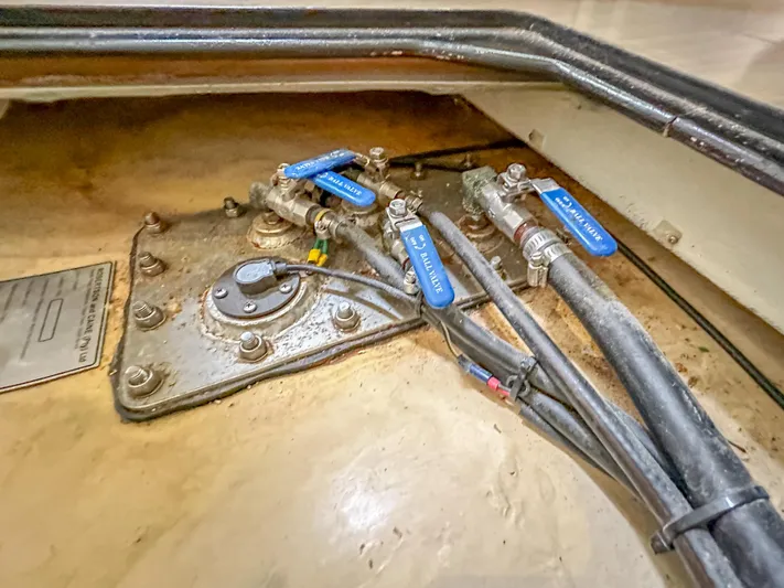 Blue Palmetto Yacht Photos Pics 