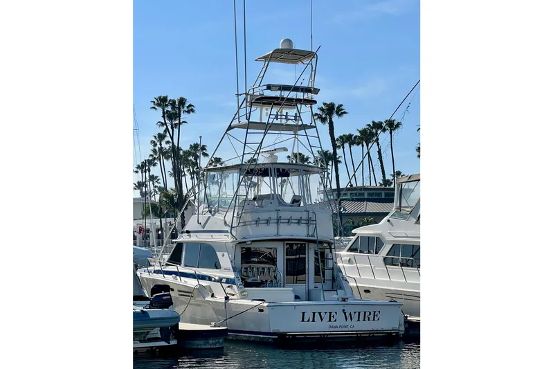 Live Wire Yacht Photos Pics 1982 Bertram 46 Convertible yacht "Live Wire" docked in marina, palm trees in background.