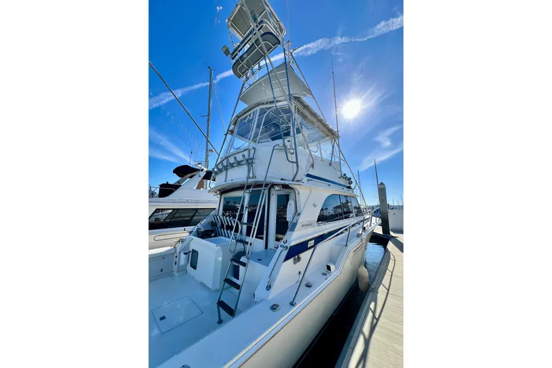 Live Wire Yacht Photos Pics 1982 Bertram 46 Convertible yacht docked under clear blue sky.