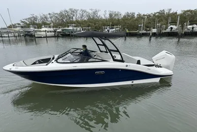 Sea Ray SPX 210 Outboard