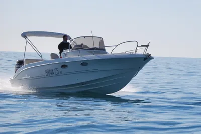 2026 Mingolla Brava 25 W.A