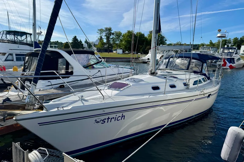 Ostrich Yacht Photos Pics 2004 Catalina 42 MkII sailboat docked at a marina on a sunny day.
