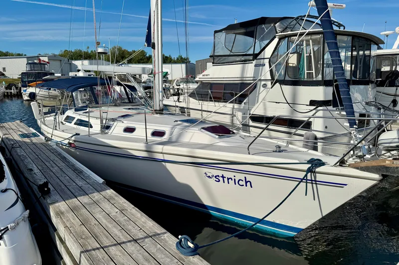 Ostrich Yacht Photos Pics Catalina 42 MkII 2004 sailboat docked at marina, featuring sleek design and spacious deck.