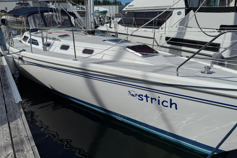 Ostrich Yacht Photos Pics Catalina 42 MkII 2004 sailboat docked at marina, featuring sleek white hull design.