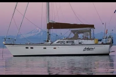 Brewer 42