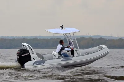 2025 Gala Viking