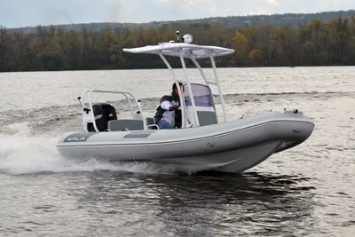 2025 Gala Viking