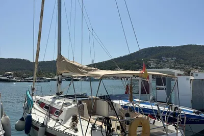 1986 Furia 37