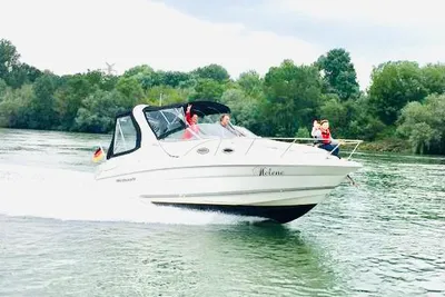 2002 Wellcraft 2600 Martinique