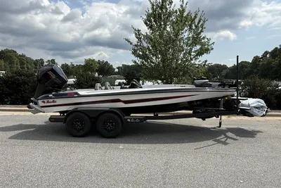 Bass Cat Pantera Classic