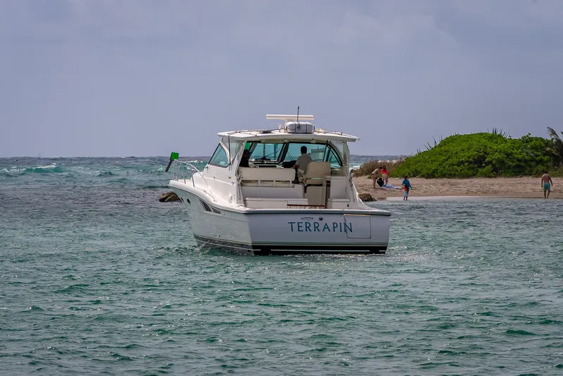  Yacht Photos Pics 2005 Tiara Yachts 4200 Open boat named "Terrapin" near a sandy shore.