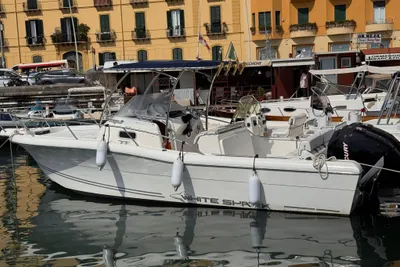 2006 White Shark 268