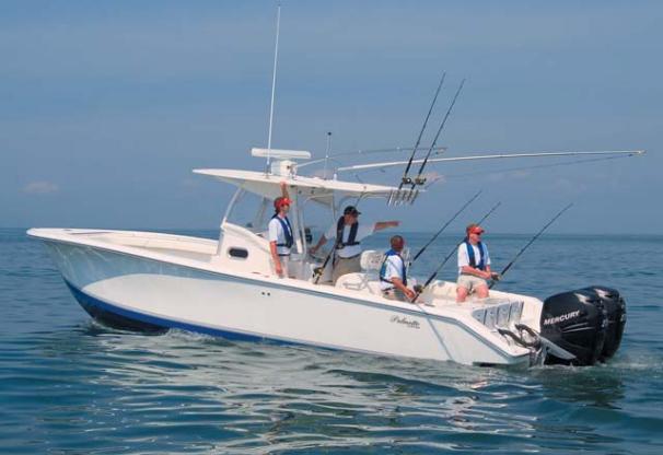 Palmetto 33 Adventure