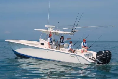 Palmetto 33 Adventure