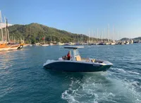 2021 Yamaha Boats 255 FSH Sport E