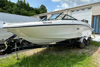 Sea Ray SPX 210 Outboard