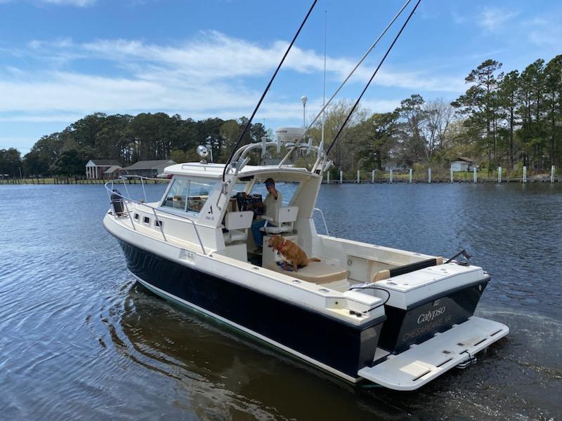 Albin 28 Tournament Express