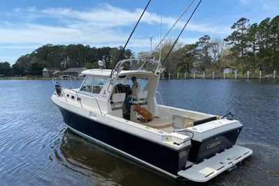 Albin 28 Tournament Express