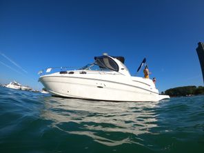 Sea Ray 300 Sundancer