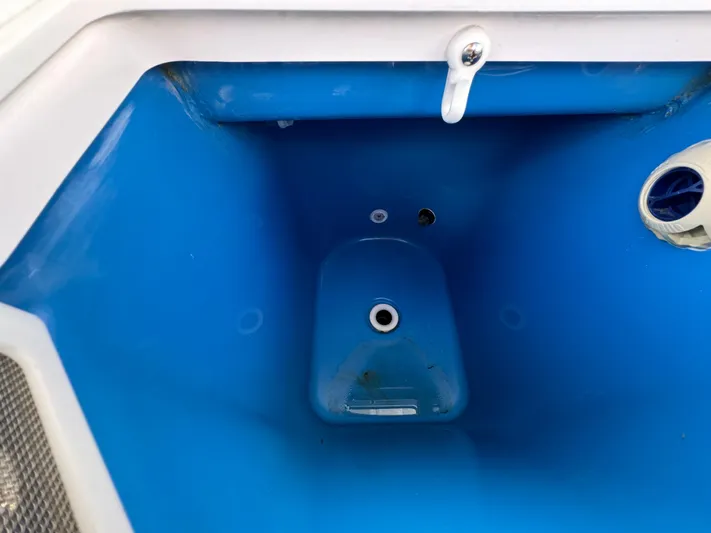  Yacht Photos Pics 2024 Everglades 253 Center Console livewell interior, blue and white design.