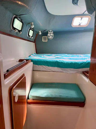 Rocky Yacht Photos Pics 