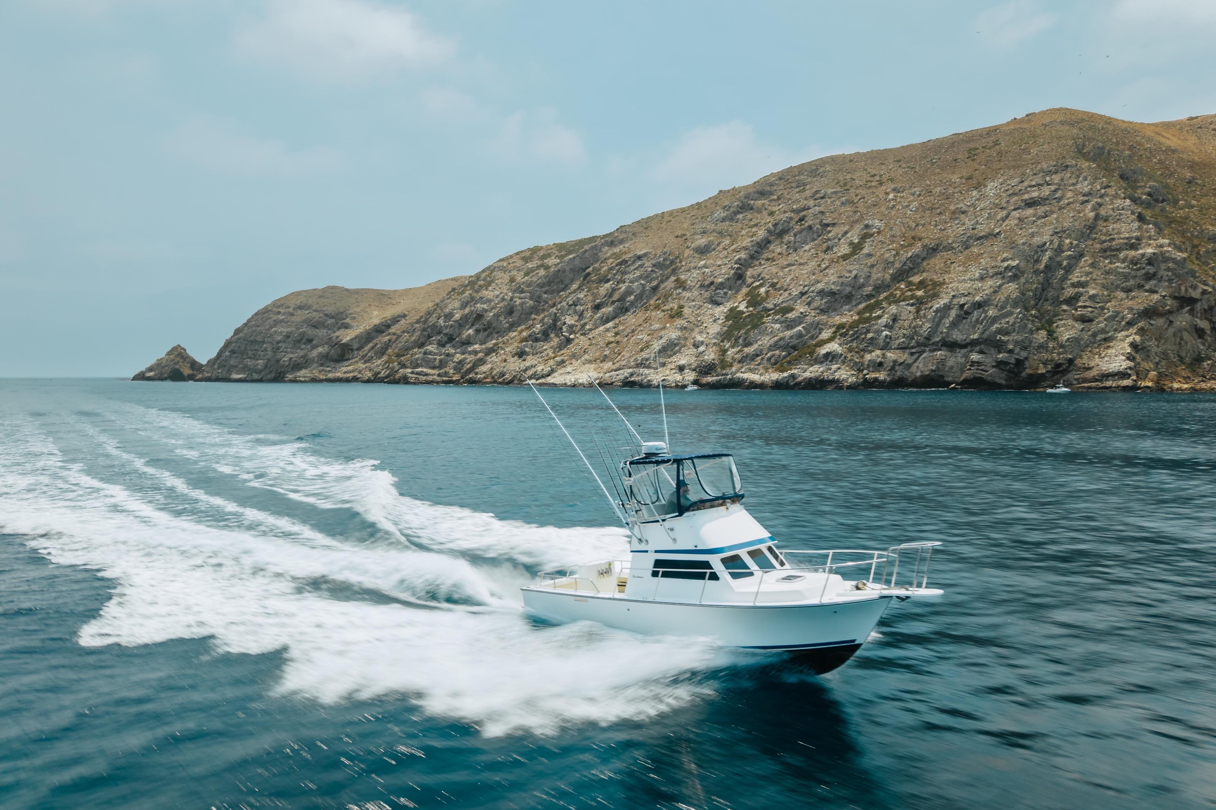 Blackman Billfisher 26