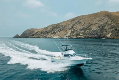 Blackman Billfisher 26