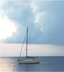 2010 Custom Bert Mauri Massimo Bert Mauri Composite 48