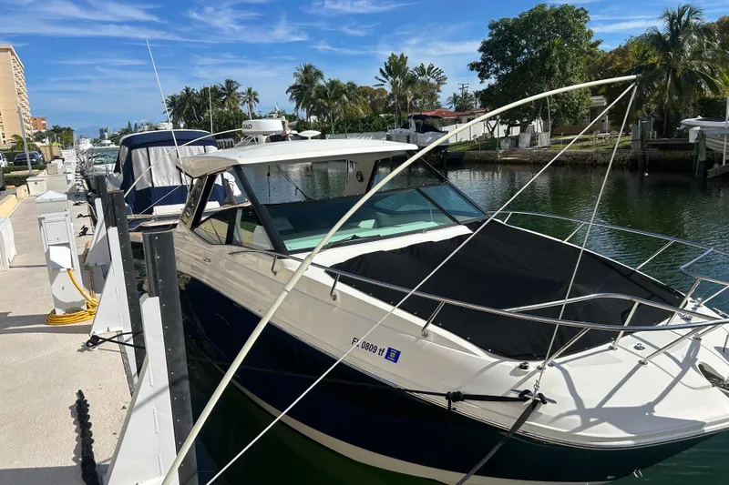  Yacht Photos Pics 2022 Sea Ray Sundancer 320 Outboard docked by a scenic waterfront with palm trees.