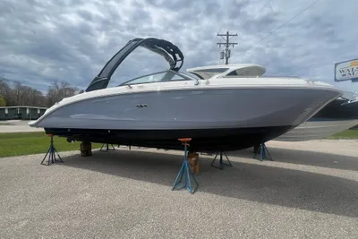 Sea Ray SDX 290
