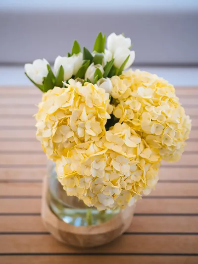 Blessed Yacht Photos Pics Yellow hydrangeas and white tulips in a vase on a wooden table.