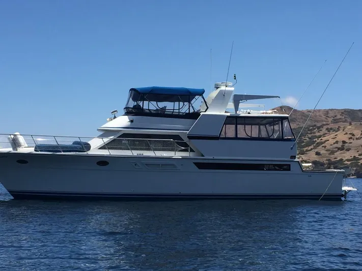 Libras Love Yacht Photos Pics 
