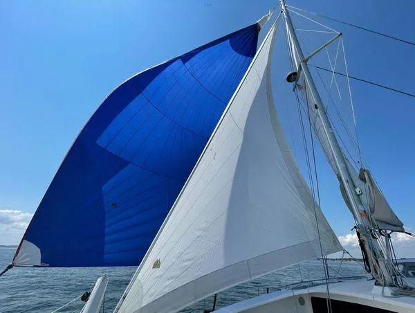 Sea Bird Yacht Photos Pics 