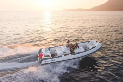 Williams Jet Tenders Dieseljet 565